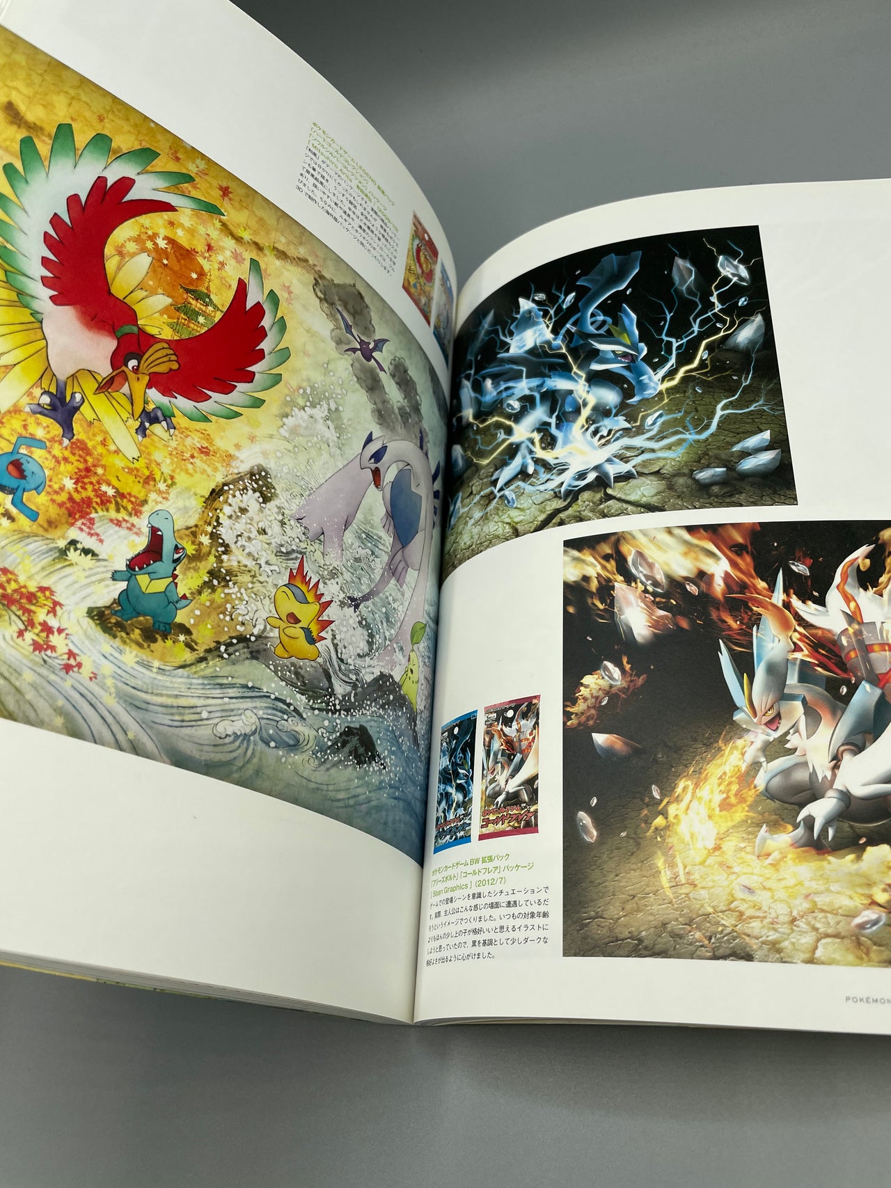 Pokémon 2014 Illustrator Collection - Karten Klasse A / Buch Klasse B Pokemon Japanisch