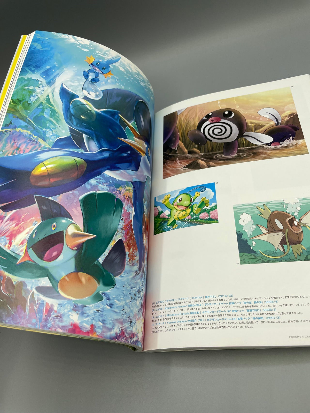 Pokémon 2014 Illustrator Collection - Karten Klasse A / Buch Klasse B Pokemon Japanisch